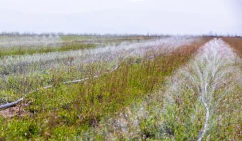 山西萬畝中藥材采用軟體集雨水窖+智能水肥一體化，增產顯著